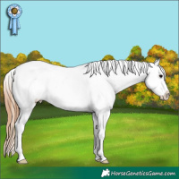 Horse Color:Grullo Tobiano Appaloosa
