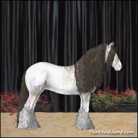 Horse Color:White Spotted Smoky Blue Onyx Ice Appaloosa 