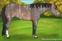 Horse Color:Brown Ice Sabino Rabicano 