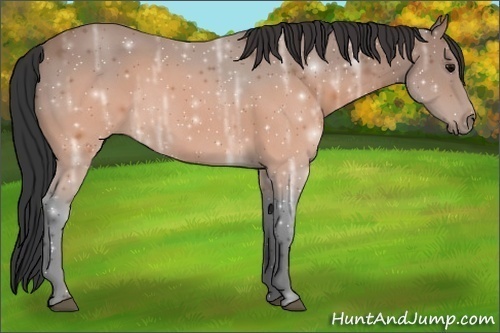 Horse Color:Brown Ice 