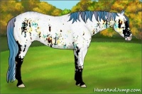 Horse Color:Watercolor Plaid White Spotted Black Ice