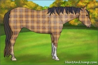 Horse Color:Plaid Bay