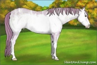 Horse Color:Watercolor Gold Champagne Ice Onyx Frame 