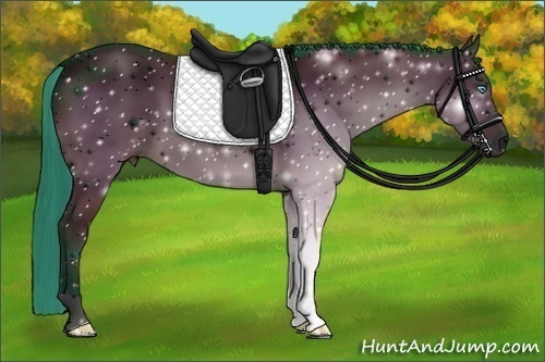 Horse Color:ERROR: UNKNOWN ANOMALY