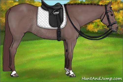 Horse Color:Chocolate Black Rabicano
