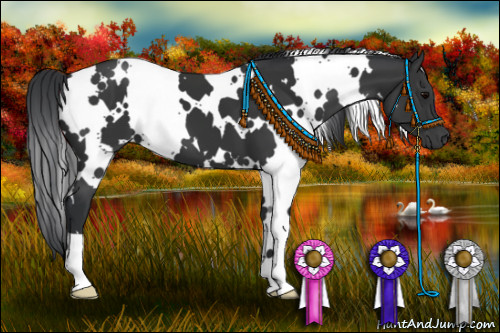 Horse Color:White Spotted Black 