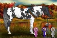 Horse Color:White Spotted Black 