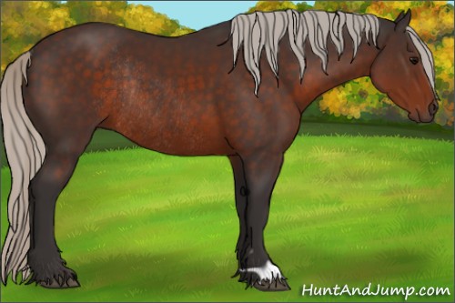 Horse Color:Silver Brown Rabicano 