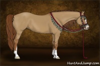 Horse Color:Red Dun Sabino