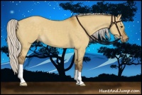 Horse Color:Silver Buckskin Dun