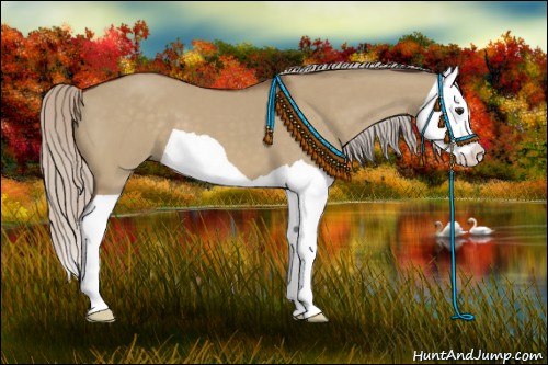 Horse Color:Silver Brown Dun Splash 