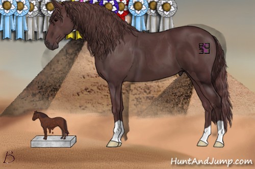 Horse Color:Chocolate Black 