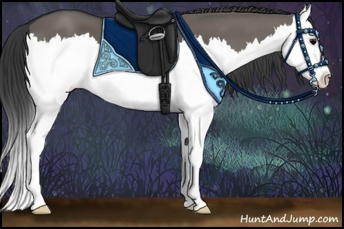 Horse Color:Grullo Sabino Splash 