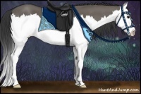Horse Color:Grullo Sabino Splash