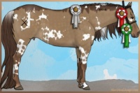 Horse Color:White Spotted Liver Red Dun
