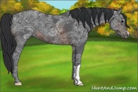 Horse Color:Brown Ice 