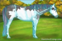 Horse Color:Painted Thunderstruck Buckskin Roan Splash Frame 
