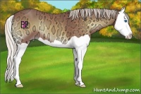 Horse Color:Silver Bay Ice Onyx Splash 