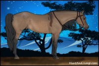 Horse Color:Bay Dun