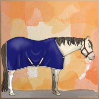 Horse Color:Amber Cream Champagne Ice Rabicano 