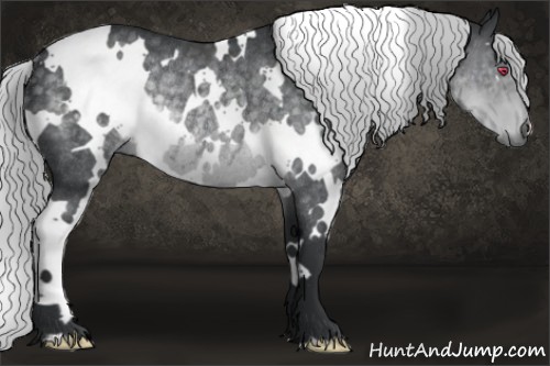 Horse Color:White Spotted Silver Black Chinchilla Rabicano 