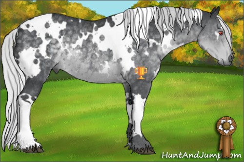 Horse Color:White Spotted Silver Black Chinchilla Rabicano