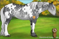 Horse Color:White Spotted Silver Black Chinchilla Rabicano 