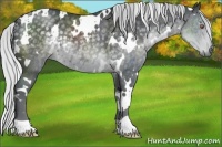 Horse Color:White Spotted Silver Black Chinchilla 