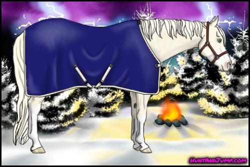 Horse Color:Gold Cream Champagne Ice Blanket Rabicano 