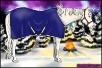 Horse Color:Gold Cream Champagne Ice Blanket Rabicano