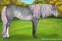 Horse Color:Painted Silver Black Chinchilla 