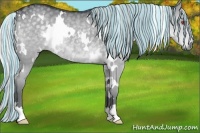 Horse Color:Painted White Spotted Silver Grullo Chinchilla 