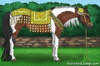 Horse Color:Bay Tobiano Rabicano