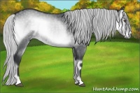 Horse Color:Silver Blue Onyx Chinchilla 