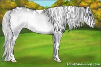 Horse Color:White Spotted Silver Blue Onyx Chinchilla 