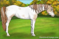 Horse Color:Chocolate Palomino Pearl Tobiano Frame  and Buckskin Pearl Tobiano Frame 