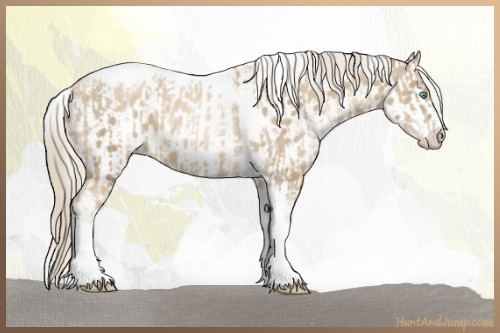 Horse Color:Chocolate Palomino Pearl Tobiano Frame and Chocolate Palomino Pearl Tobiano Frame Near Leopard
