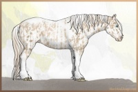 Horse Color:Chocolate Palomino Pearl Tobiano Frame  and Chocolate Palomino Pearl Tobiano Frame Near Leopard 