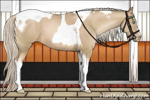 Horse Color:Chocolate Palomino Pearl Tobiano Frame and Chocolate Palomino Pearl Tobiano