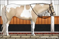 Horse Color:Chocolate Palomino Pearl Tobiano Frame  and Chocolate Palomino Pearl Tobiano 
