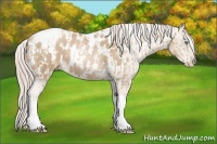 Horse Color:Chocolate Palomino Pearl Tobiano Frame and Chocolate Palomino Pearl Tobiano Frame Appaloosa