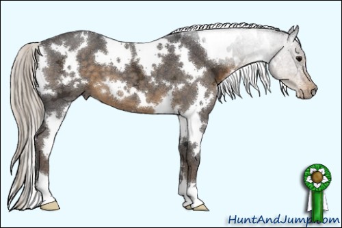 Horse Color:White Spotted Silver Smoky Blue Ice Roan 