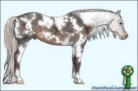 Horse Color:White Spotted Silver Smoky Blue Ice Roan