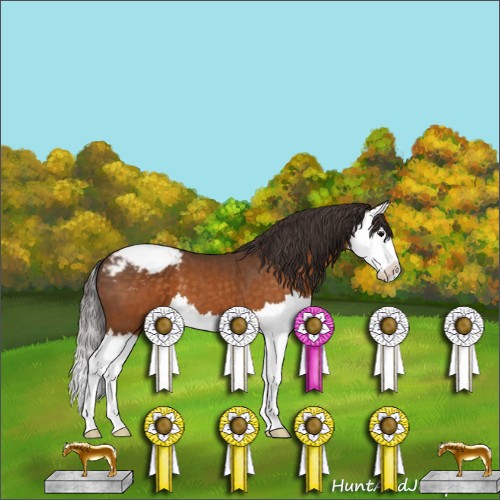 Horse Color:Buckskin Splash Snowcap