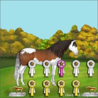 Horse Color:Buckskin Splash Snowcap 