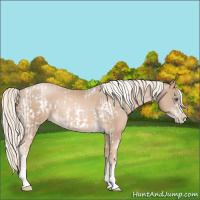 Horse Color:Chocolate Palomino Pearl Tobiano Frame and Chocolate Palomino Pearl Tobiano Frame