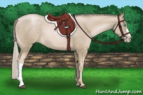 Horse Color:Chocolate Palomino Pearl 