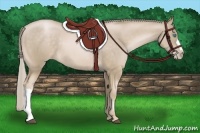 Horse Color:Chocolate Palomino Pearl 
