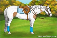 Horse Color:Bay Sabino Splash Tobiano 