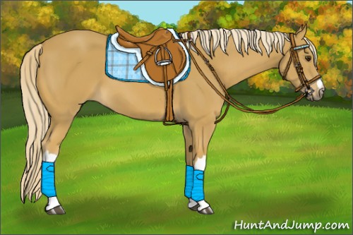 Horse Color:Palomino 